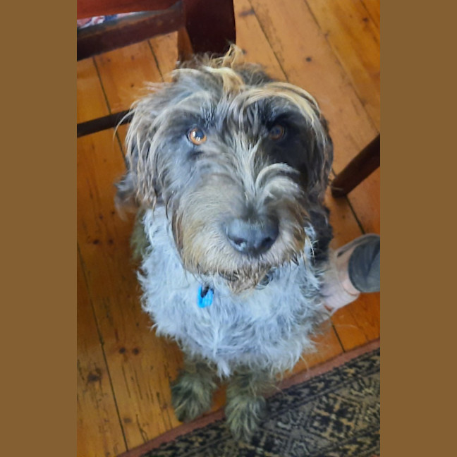 Photo of Chloe