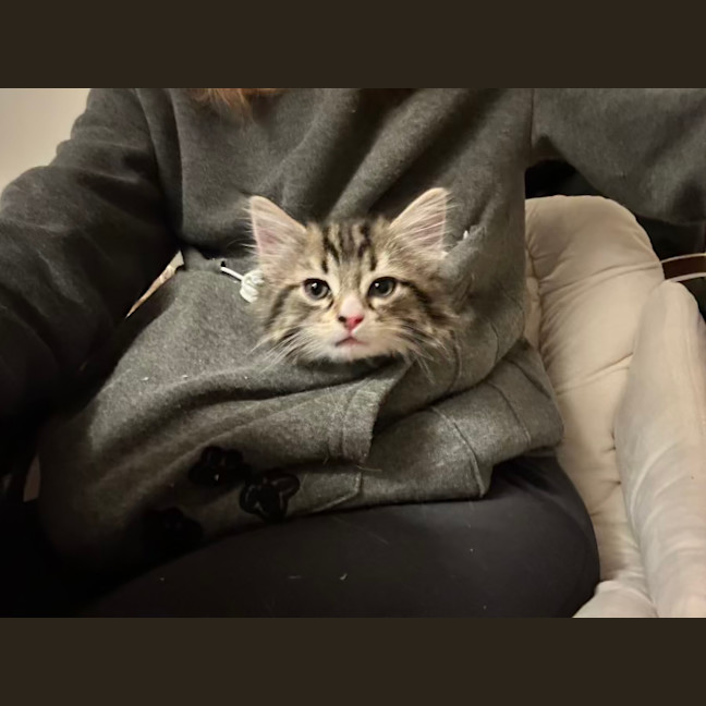 Photo of Alister   Located In Lower Plenty