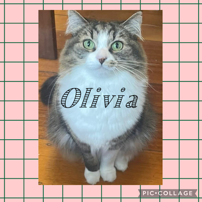 Photo of Olivia 