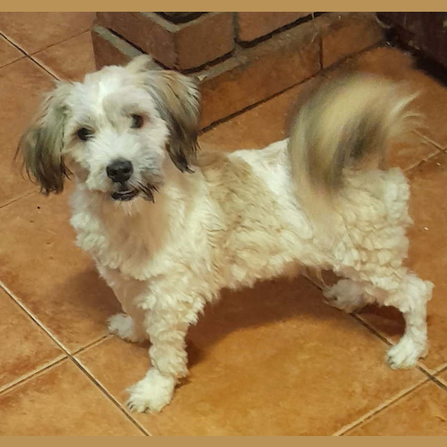 Photo of Chance