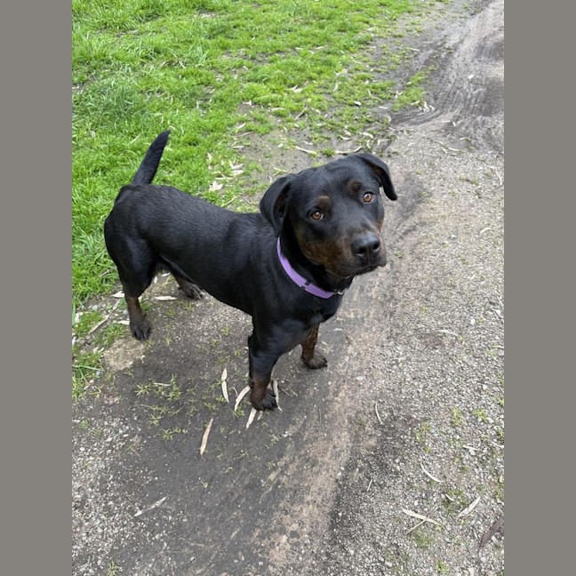 Photo of Lucy