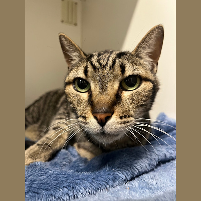Photo of Toby