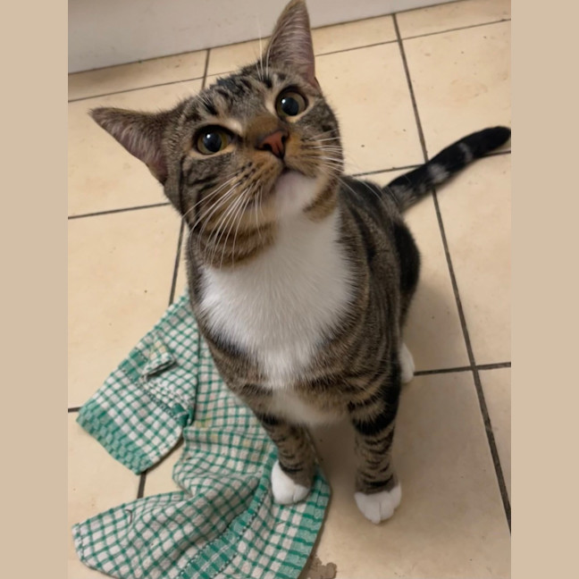 Photo of Cleo