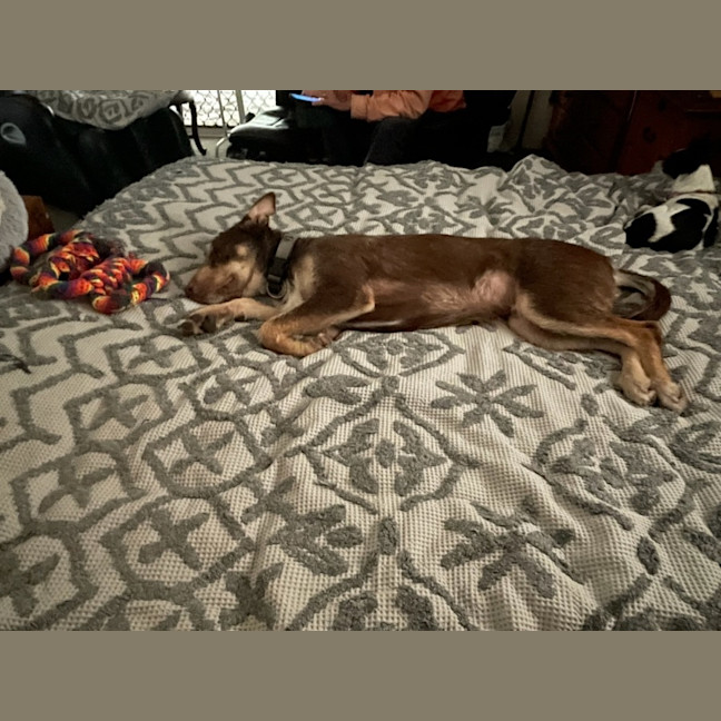 Photo of Lenny