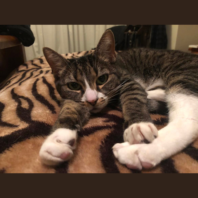 Photo of Jelly