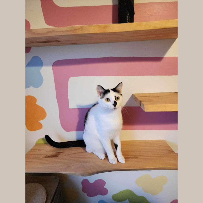Photo of Charlie