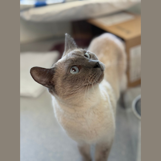 Photo of Princess