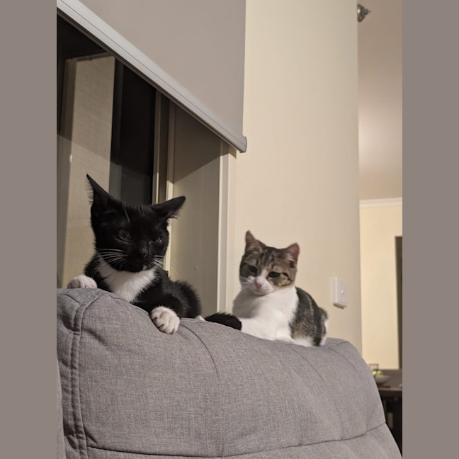 Photo of Honey & Rory 🥰