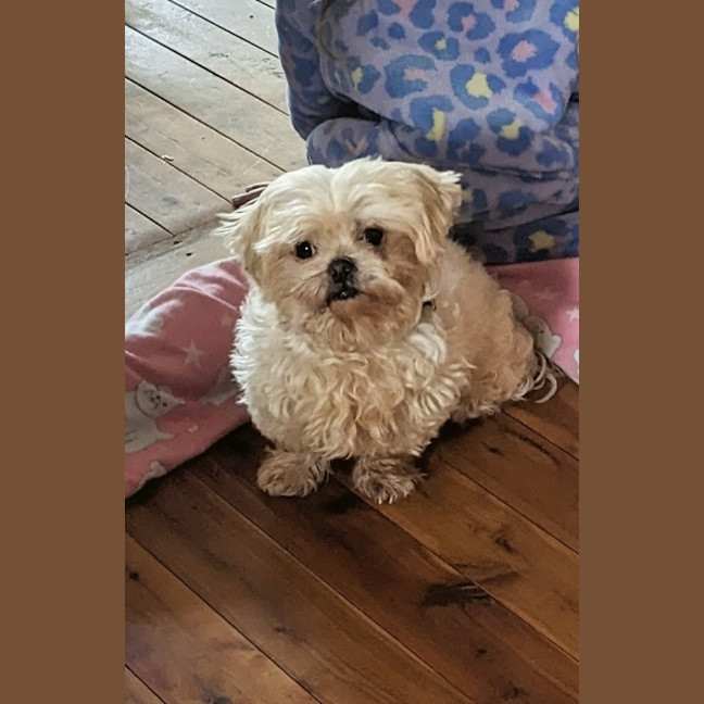 Photo of Ella