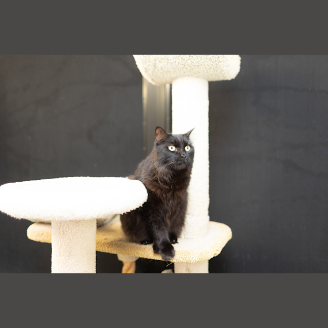Photo of Mandu