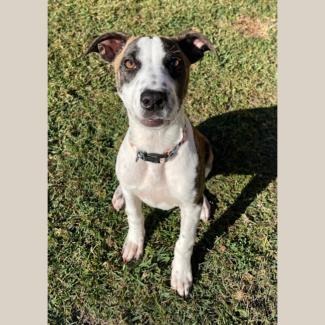 Photo of Missy