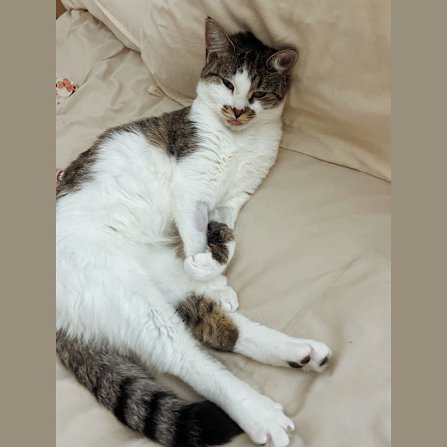 Photo of Charlee