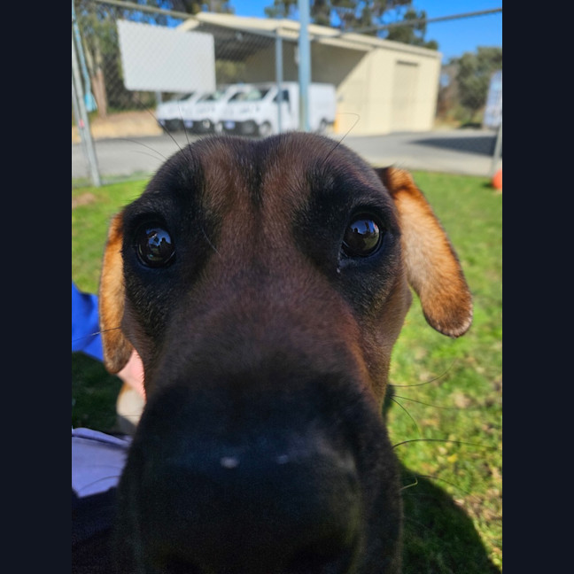 Photo of Nelly