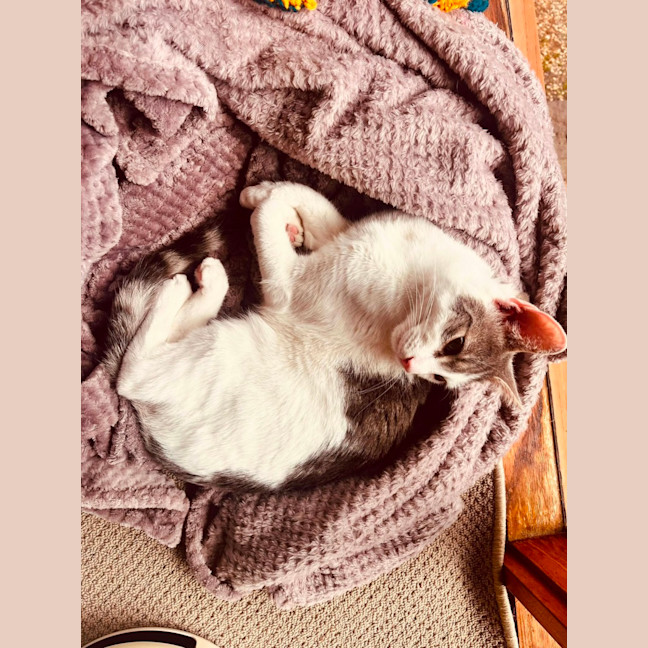 Photo of Billy