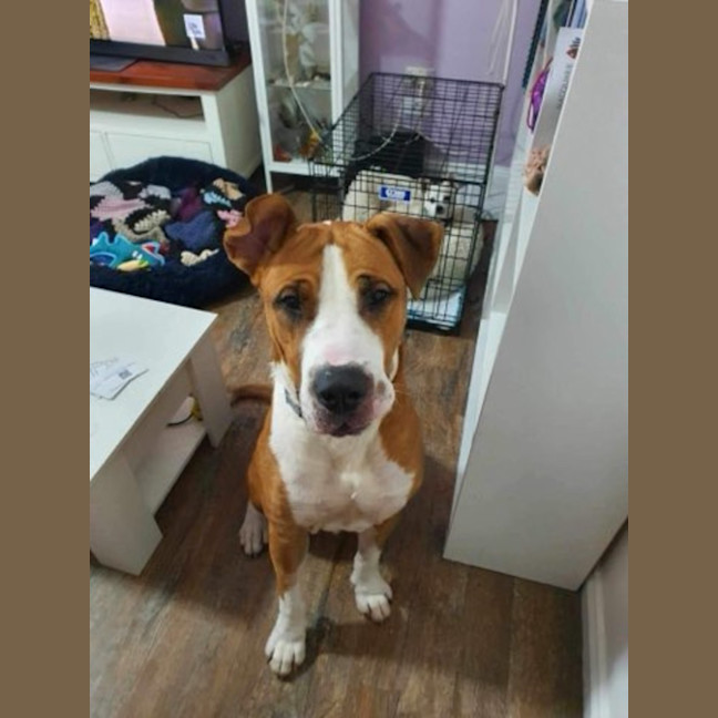 Photo of Boof ** A Divine Boy **