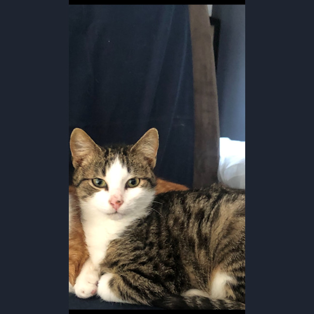 Photo of Soda