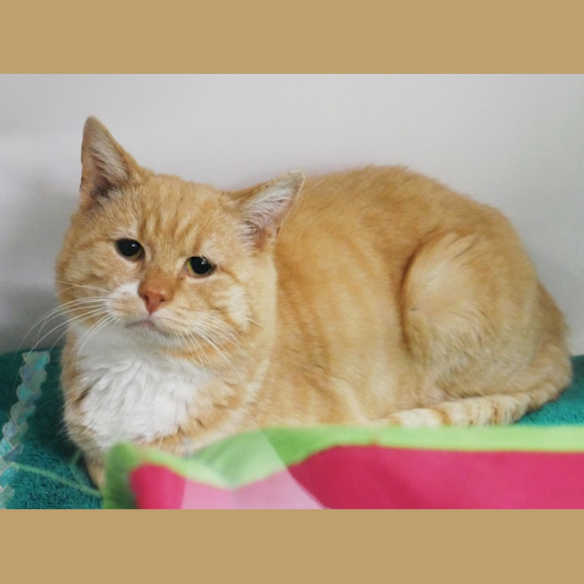 Photo of Augustus Sta012884