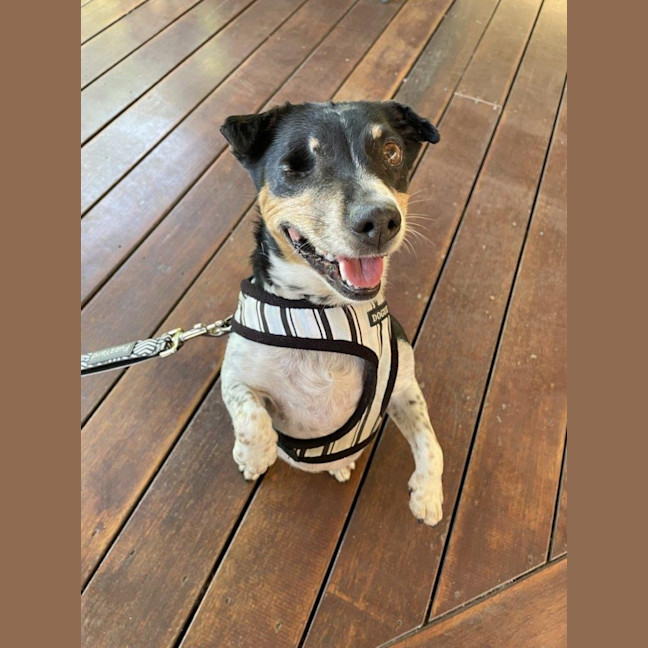 Photo of Bella Valenti