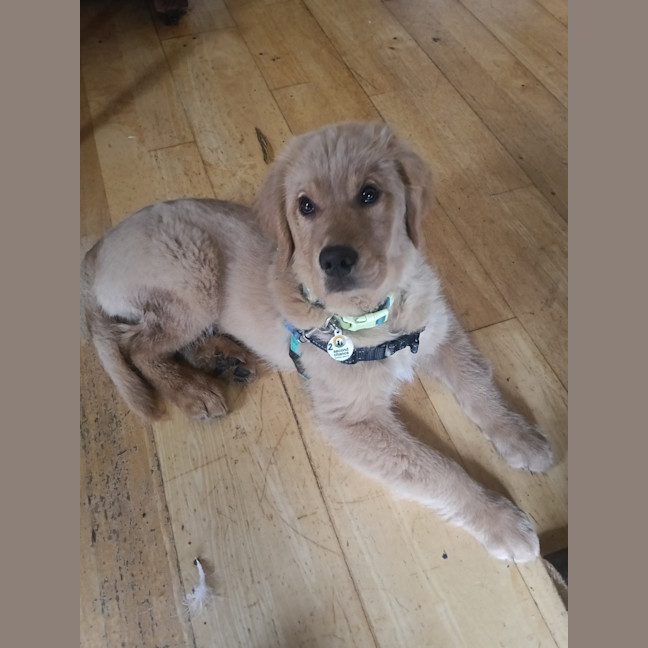 Photo of Harry