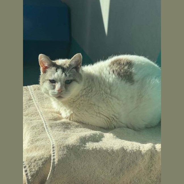 Photo of Elsa