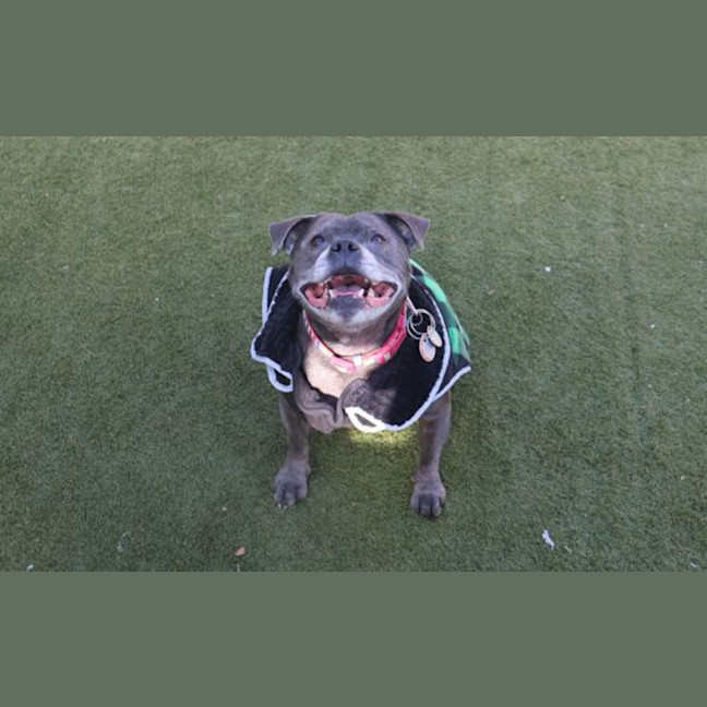 Photo of Billy