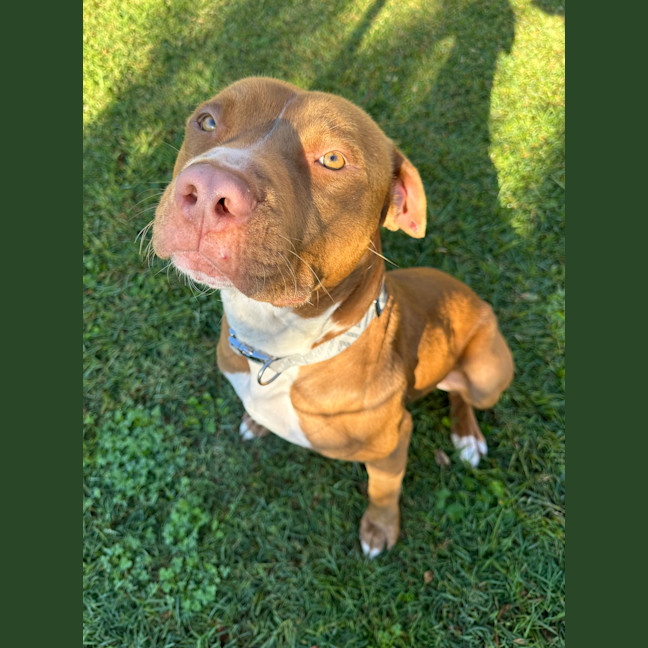 Photo of Boots
