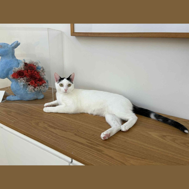 Photo of Lillie 🌷🌷🌷