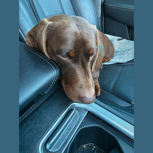 Photo of Lenny
