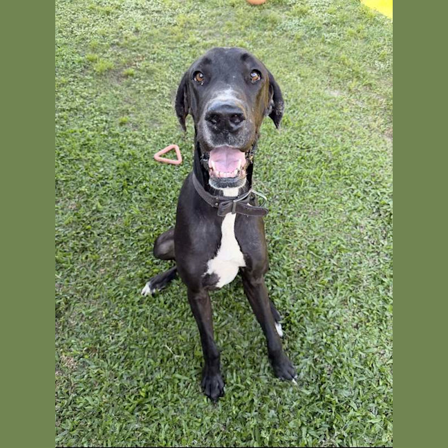 Photo of Hershey