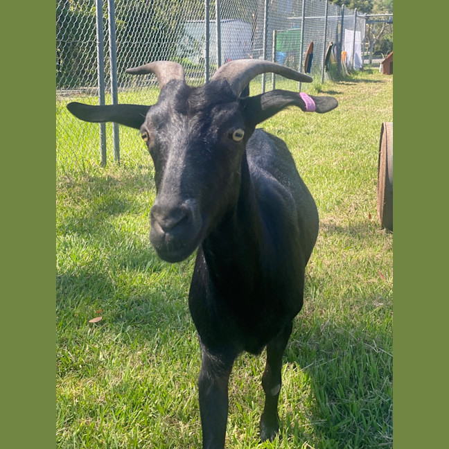 Photo of Jasper