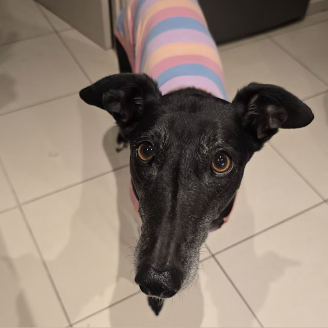 Photo of Maggie
