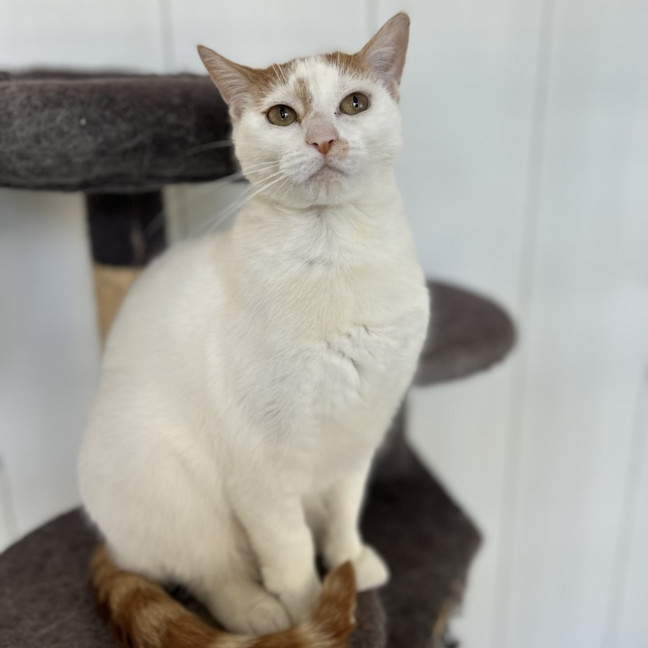 Photo of Pearl
