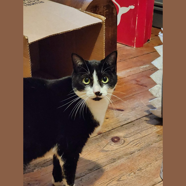Photo of Charlee