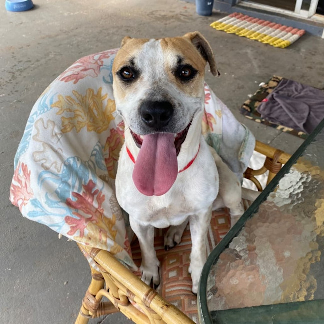 Photo of Addie