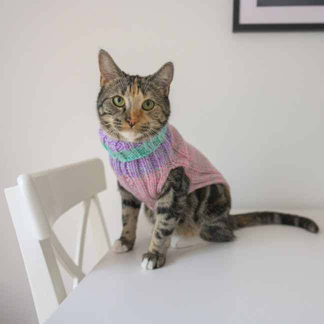 Photo of Sharona 