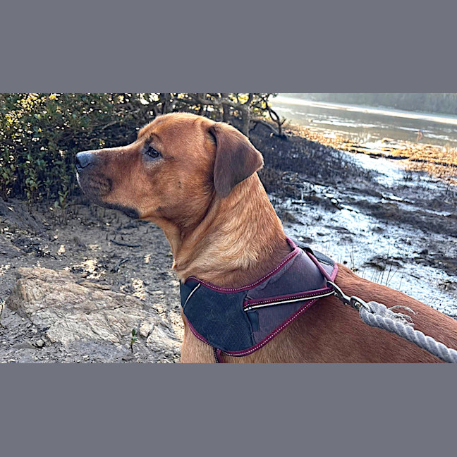 Photo of Wally