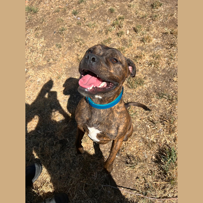 Photo of Ralphy Aka Wreck It Ralph