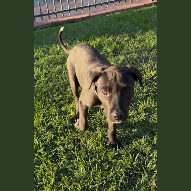 Photo of Guiness