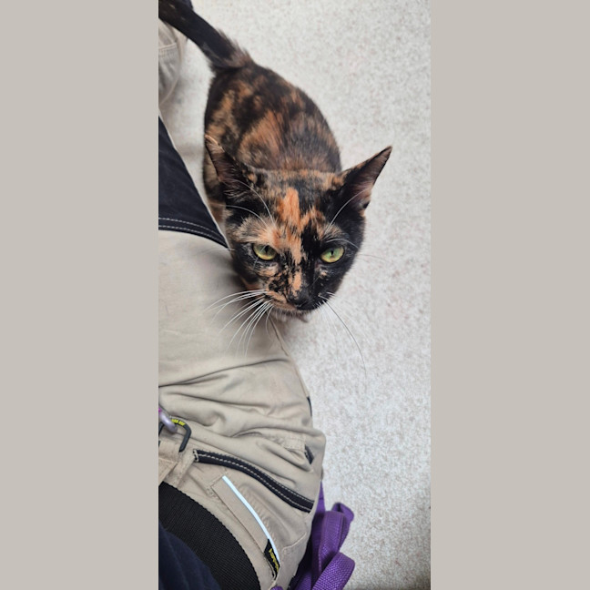 Photo of Faye (8925)