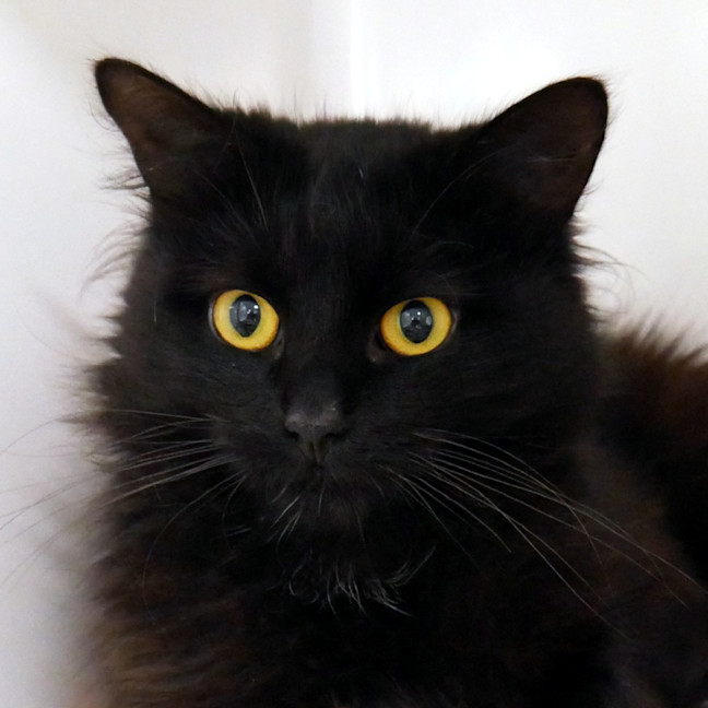 Photo of Jett Sta015183