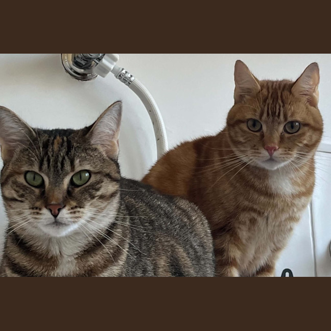 Photo of Jazz