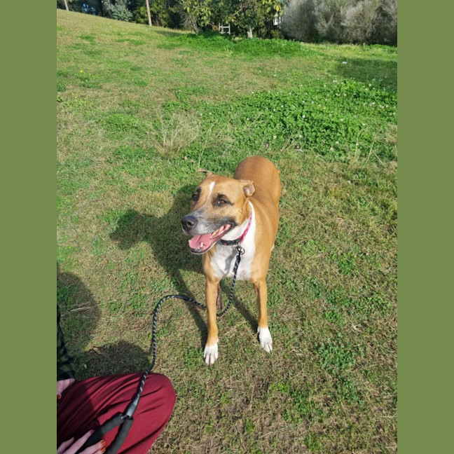 Photo of Frankie