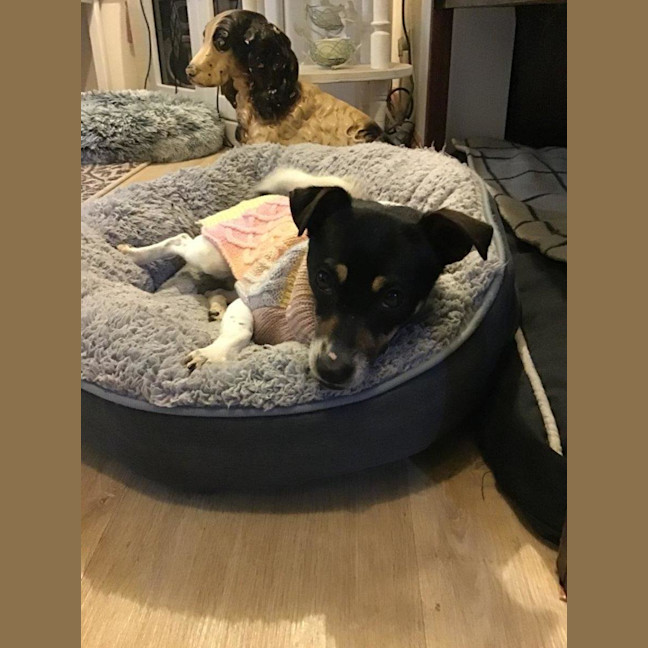 Photo of Mabel Uffelman  