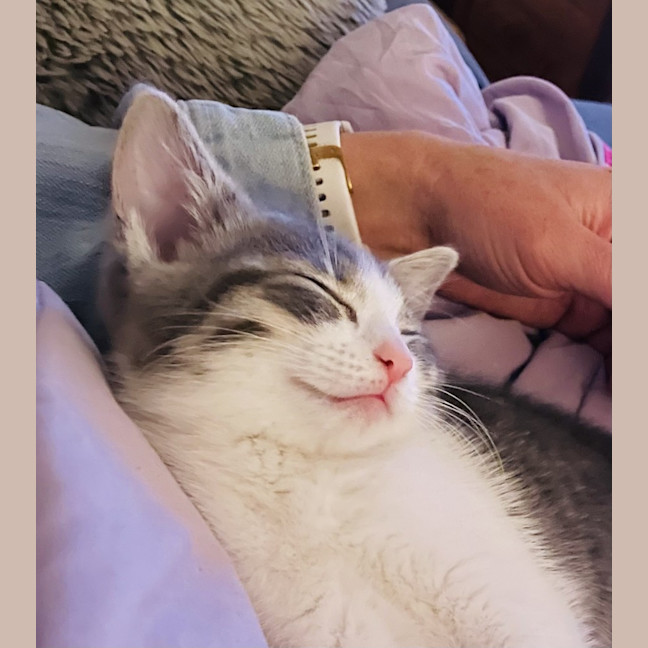 Photo of Lulu