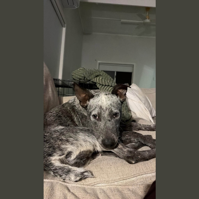 Photo of Rory