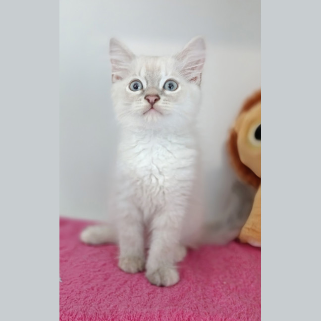 Photo of Sandie