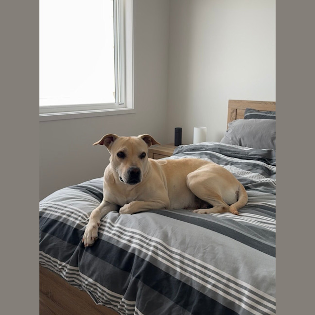 Photo of Lucy