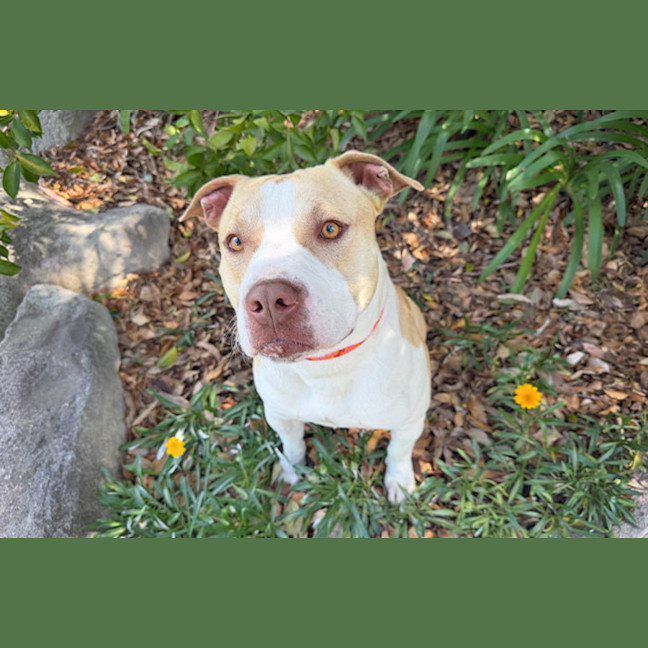 Photo of Benson