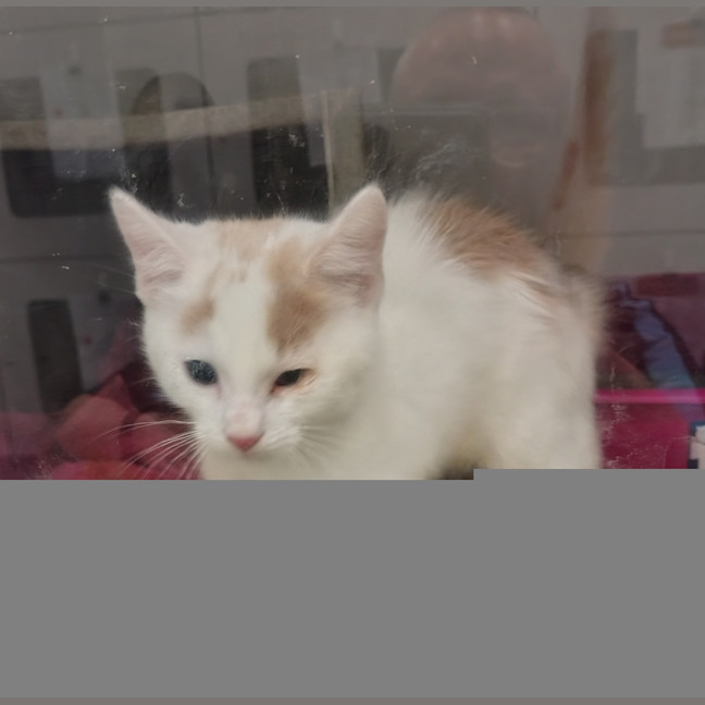Photo of Frodo