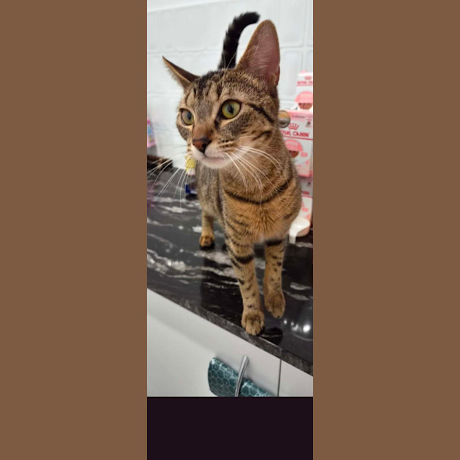 Photo of Cassey
